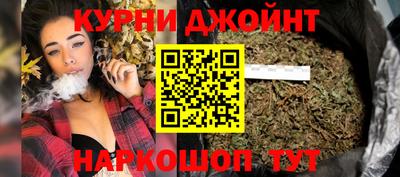 гашик Донской