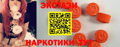 СК Дубна