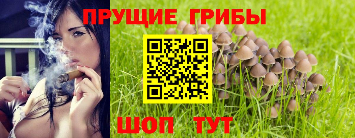 Псилоцибиновые грибы GOLDEN TEACHER Нерюнгри
